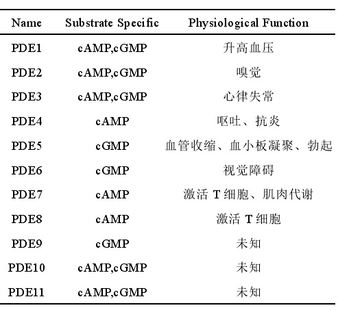 PDE同工酶的分类